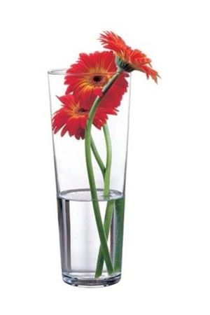 Paşabahçe Botanica Cam Konik Çiçek Vazosu 26cm